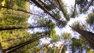 Meet your Posher, Yolanda